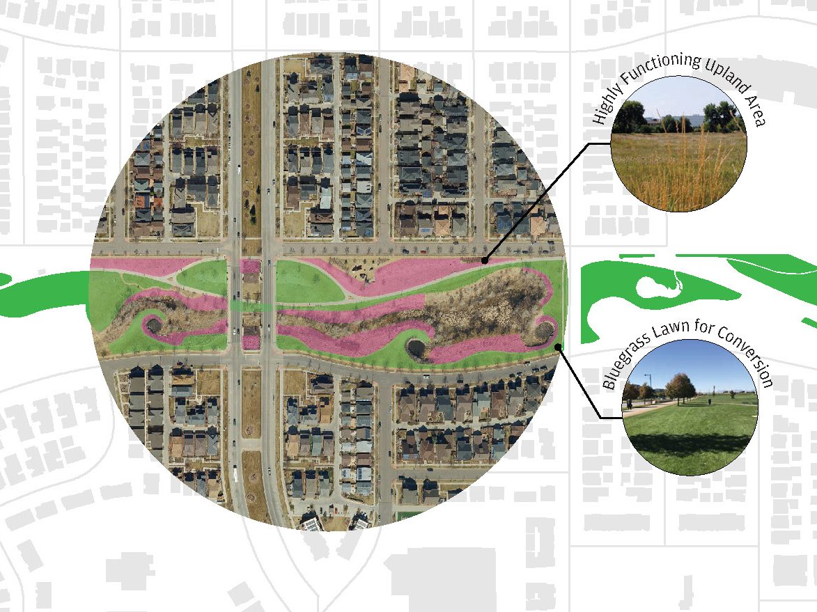 Denver Parks & Recreation Landscape Typology