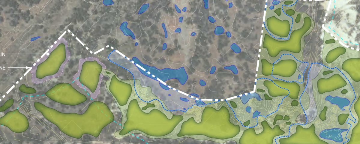 Conceptual plan of vernal pool restoration