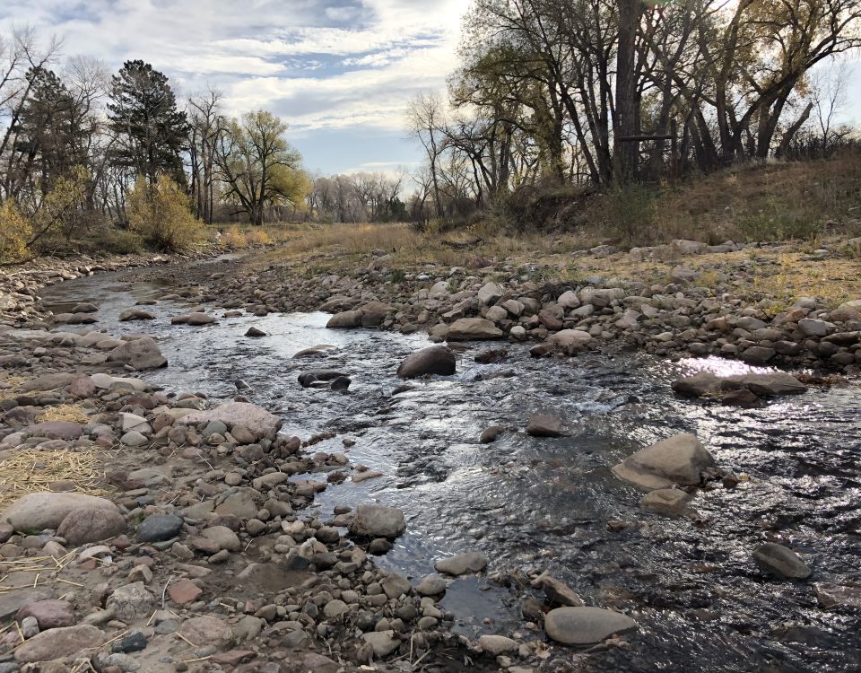 A rocky, newly restored stream on a fall day