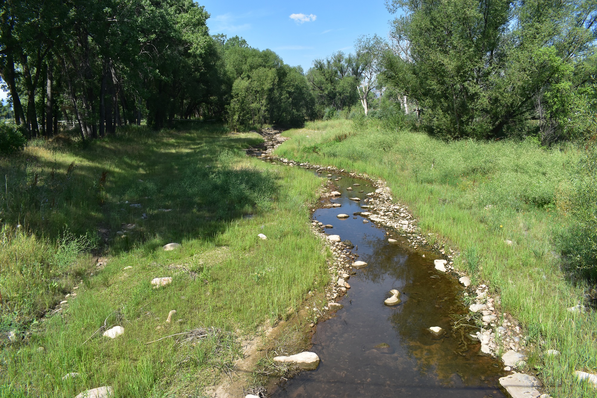 Restoration of a creek at Year 1, which includes shoreline stabilization features and grasses