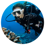 woman in scuba gear under water next to coral