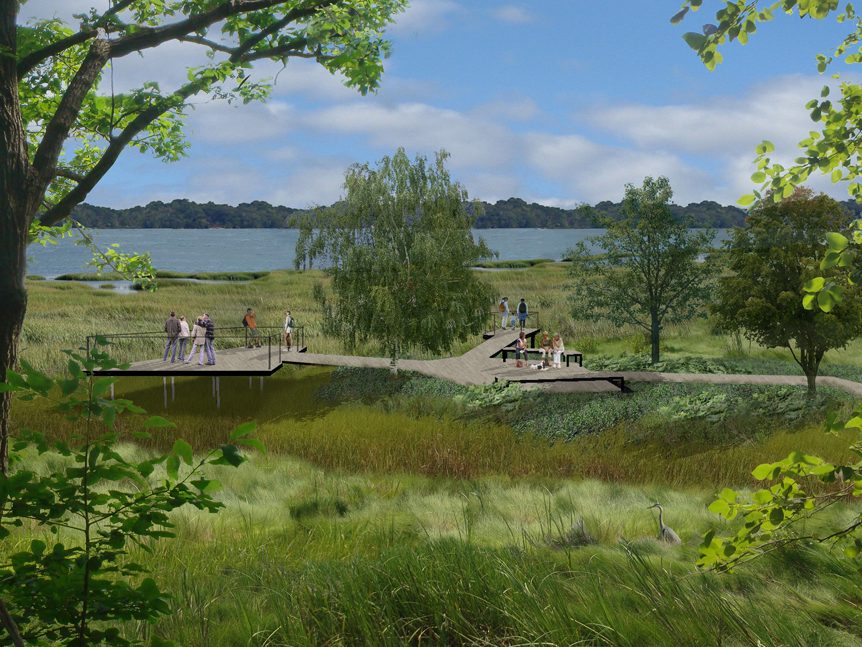 rendering showing a wooden platform over a wetland with people enjoying the view