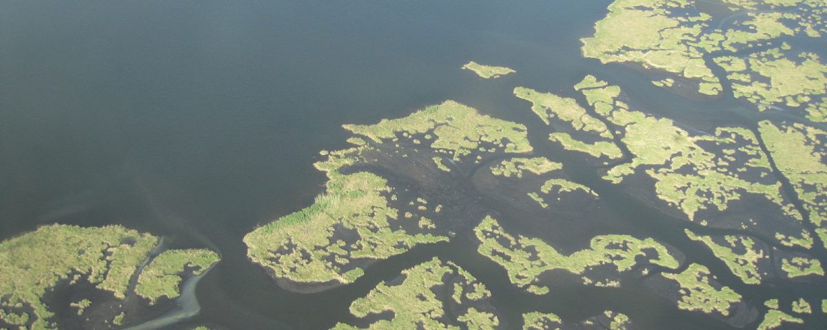 aerial photo of the Gulf Coast shoreline