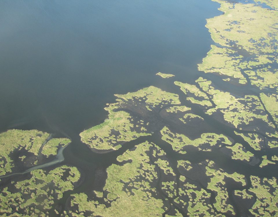 aerial photo of the Gulf Coast shoreline