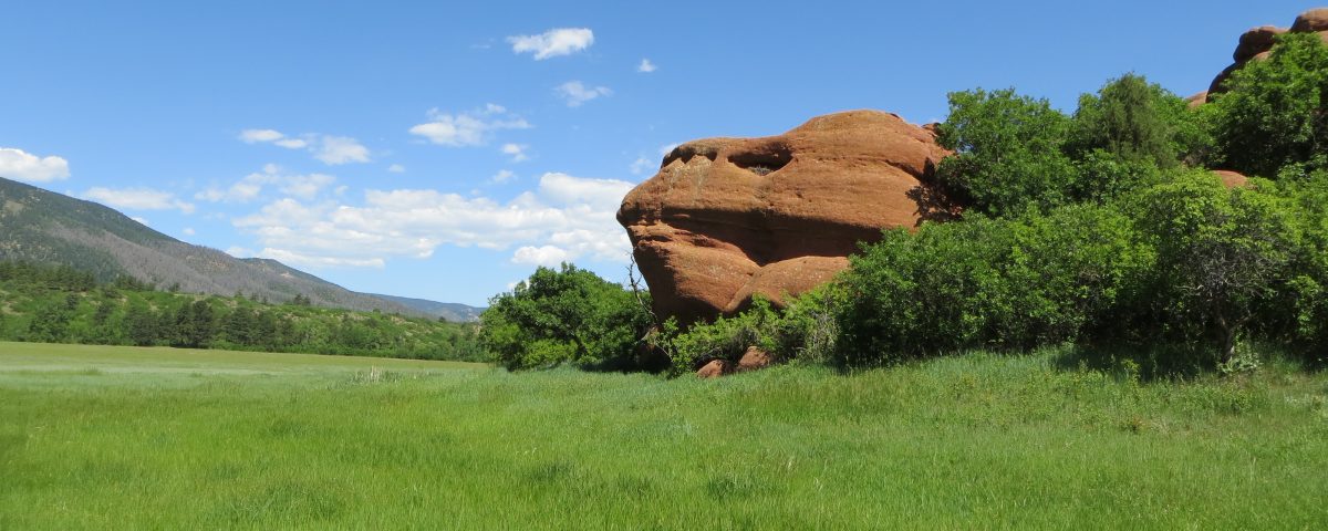 A red rock in a green pasture