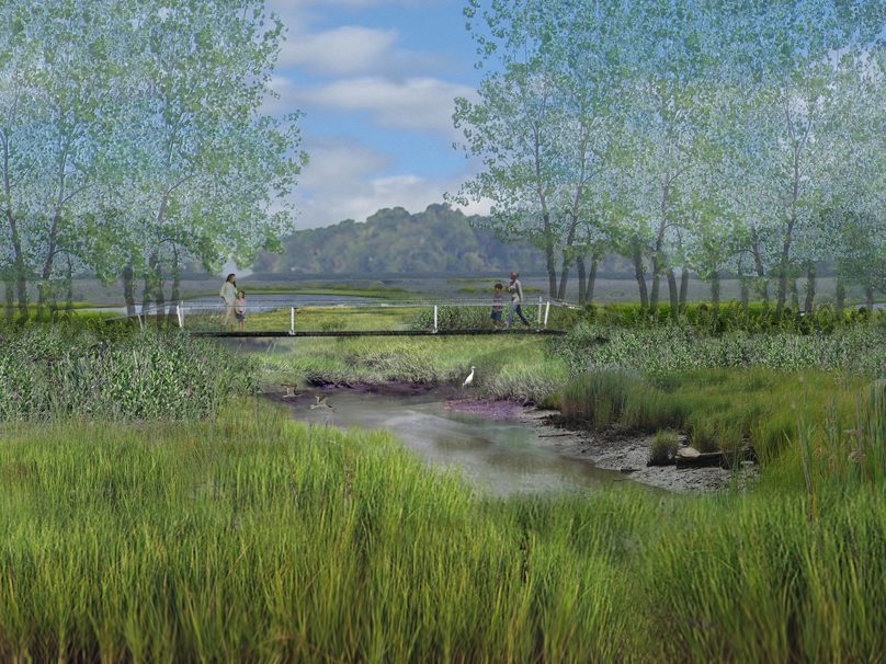 rendering showing a wood bridge over a creek in a wetland