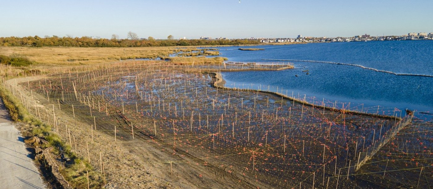 West Pond Living Shoreline Ecological Design