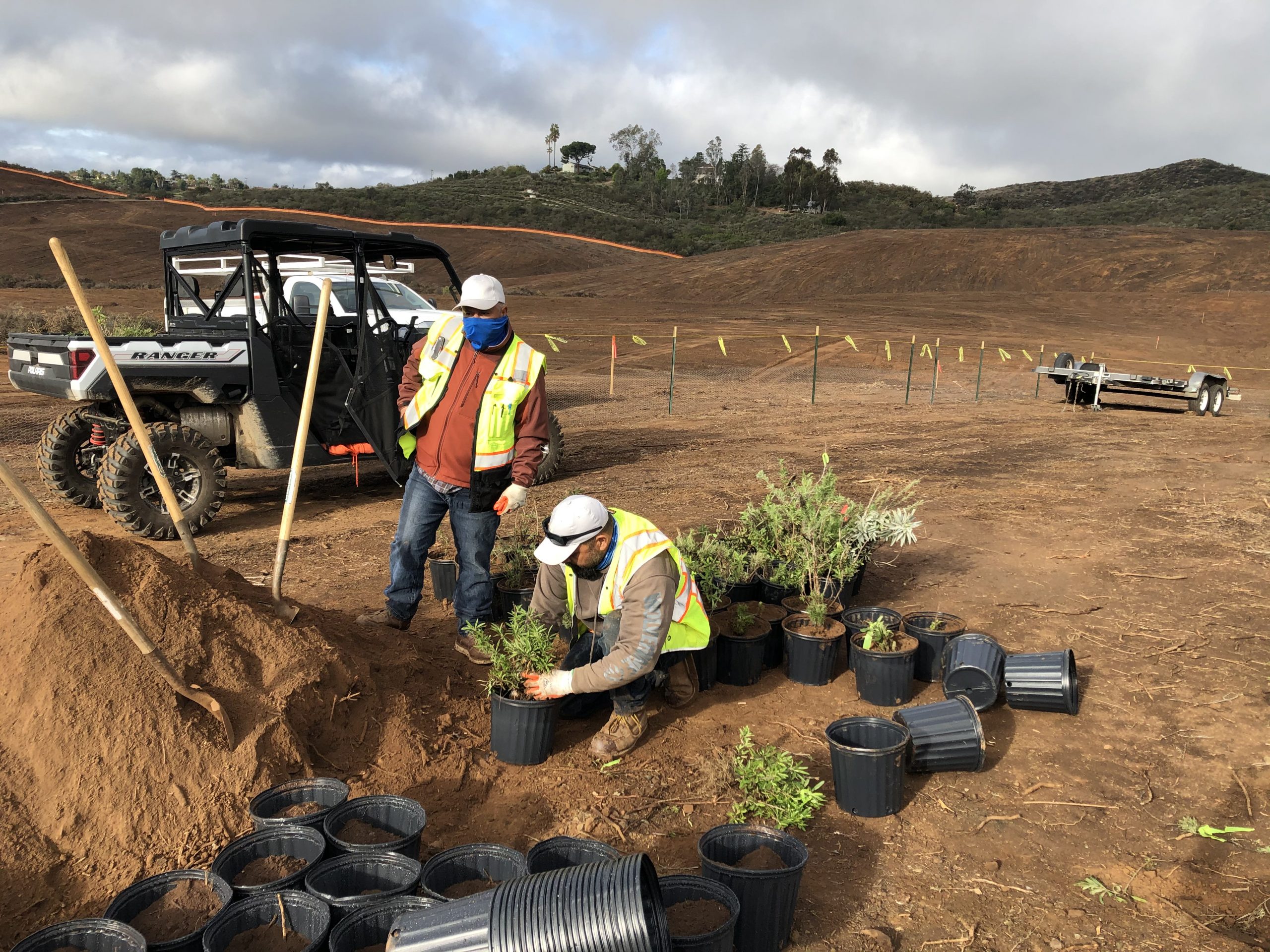 San Marcos Highlands salvaged plants