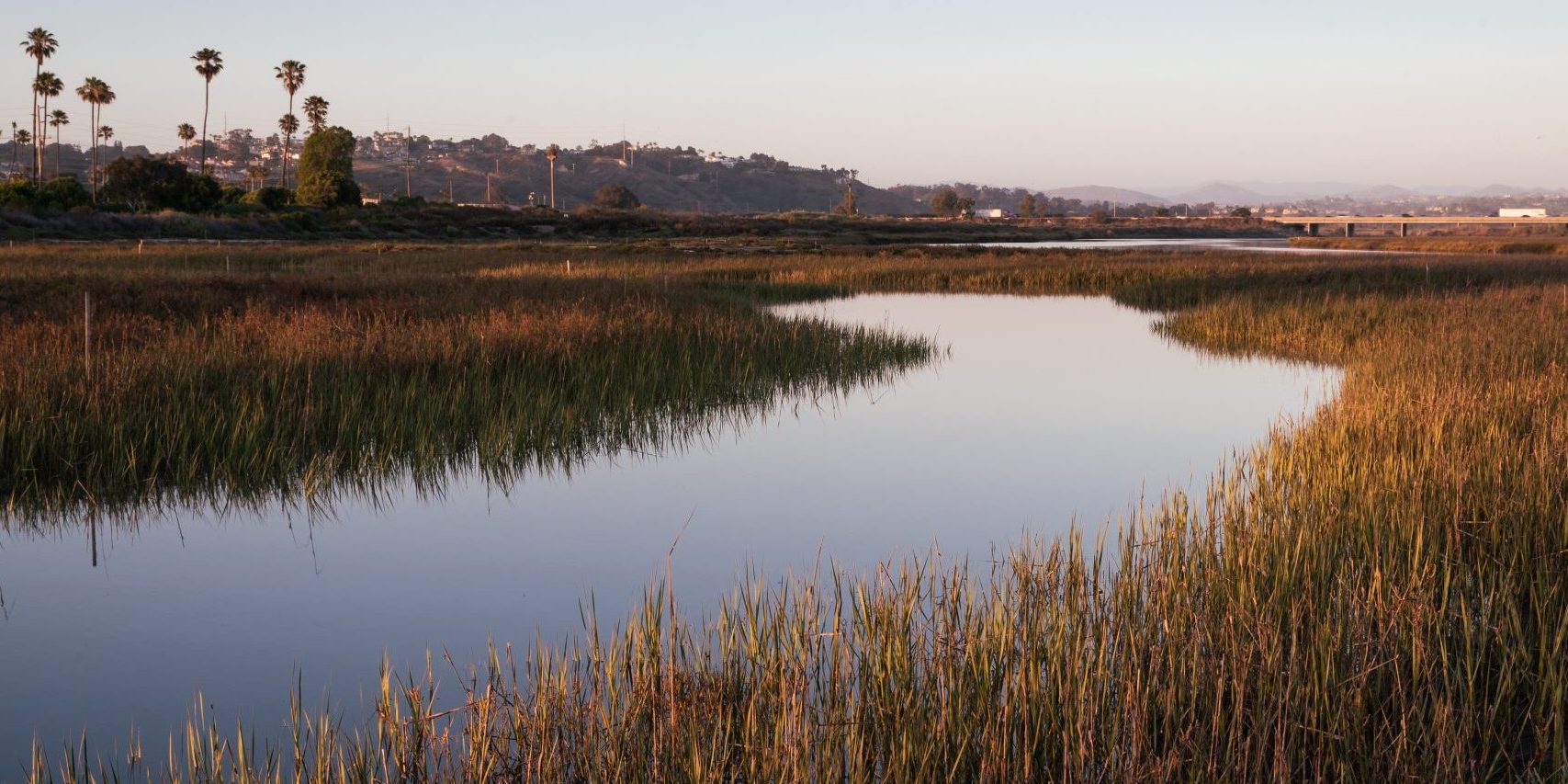 San Dieguito Lagoon Wetland Restoration