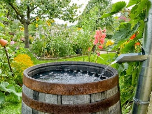 Rainwater harvest barrell