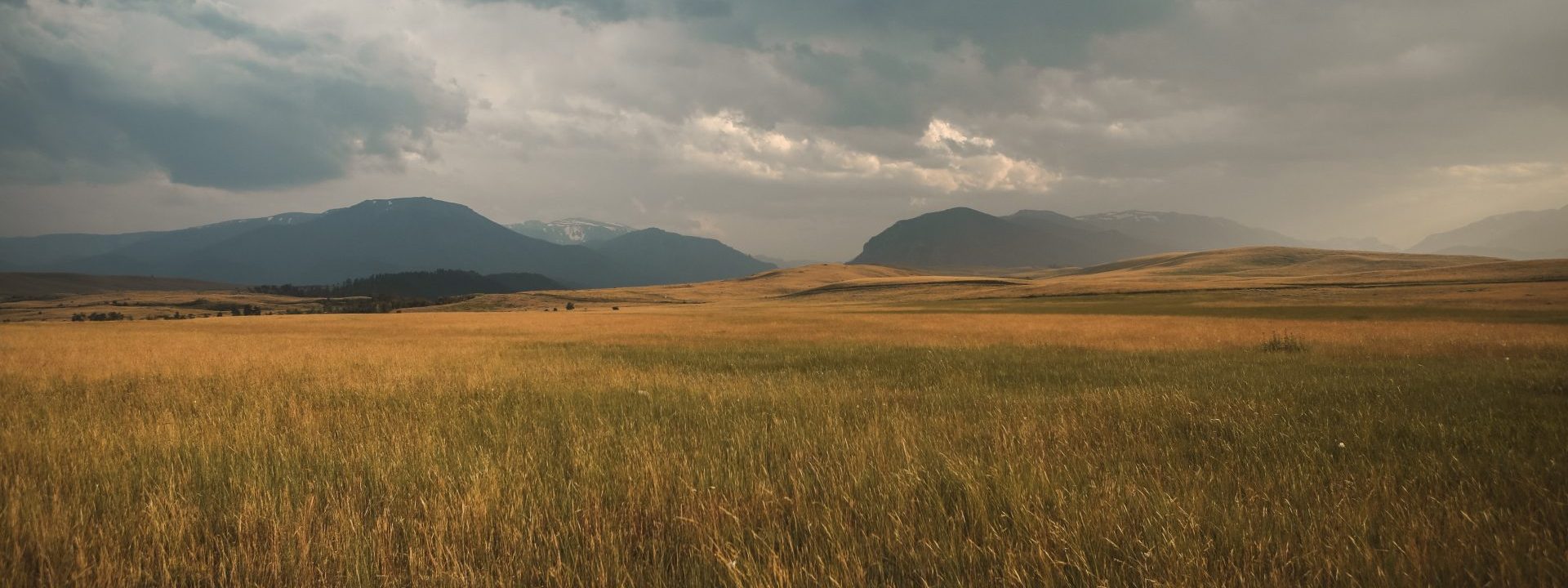 Montana Field + Cloudy