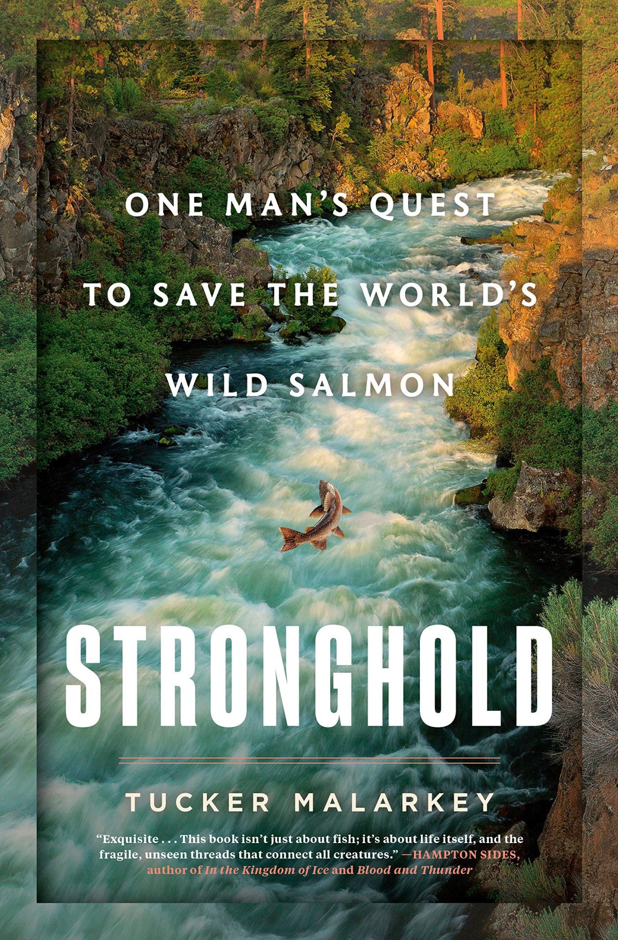 Stronghold Book Cover