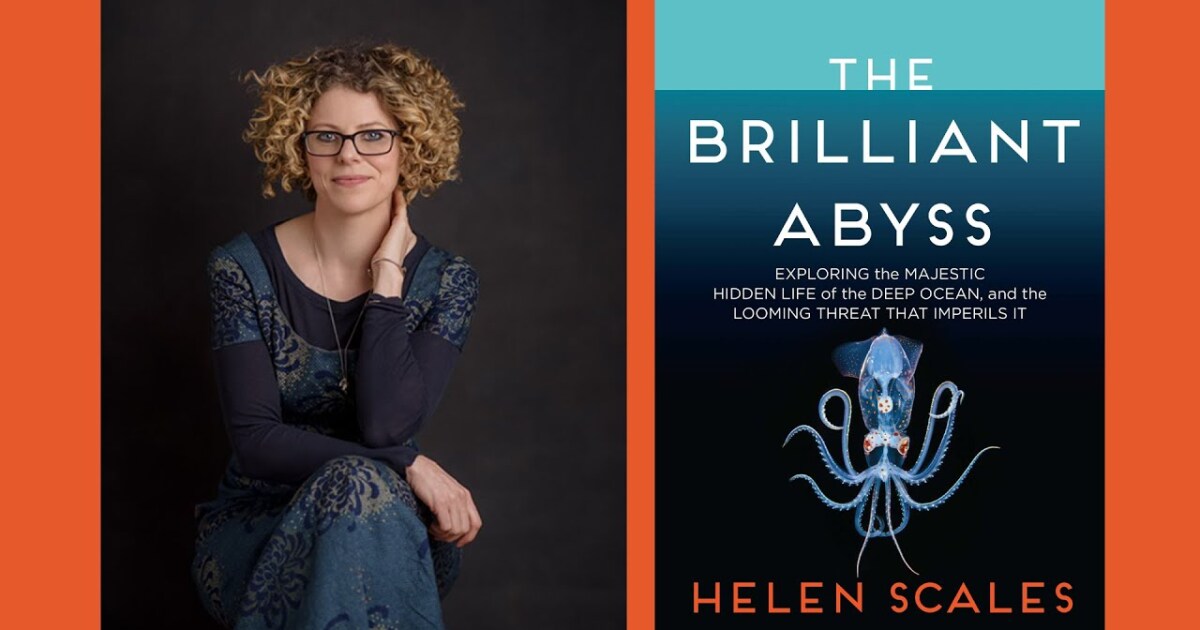 Book Review: The Brilliant Abyss