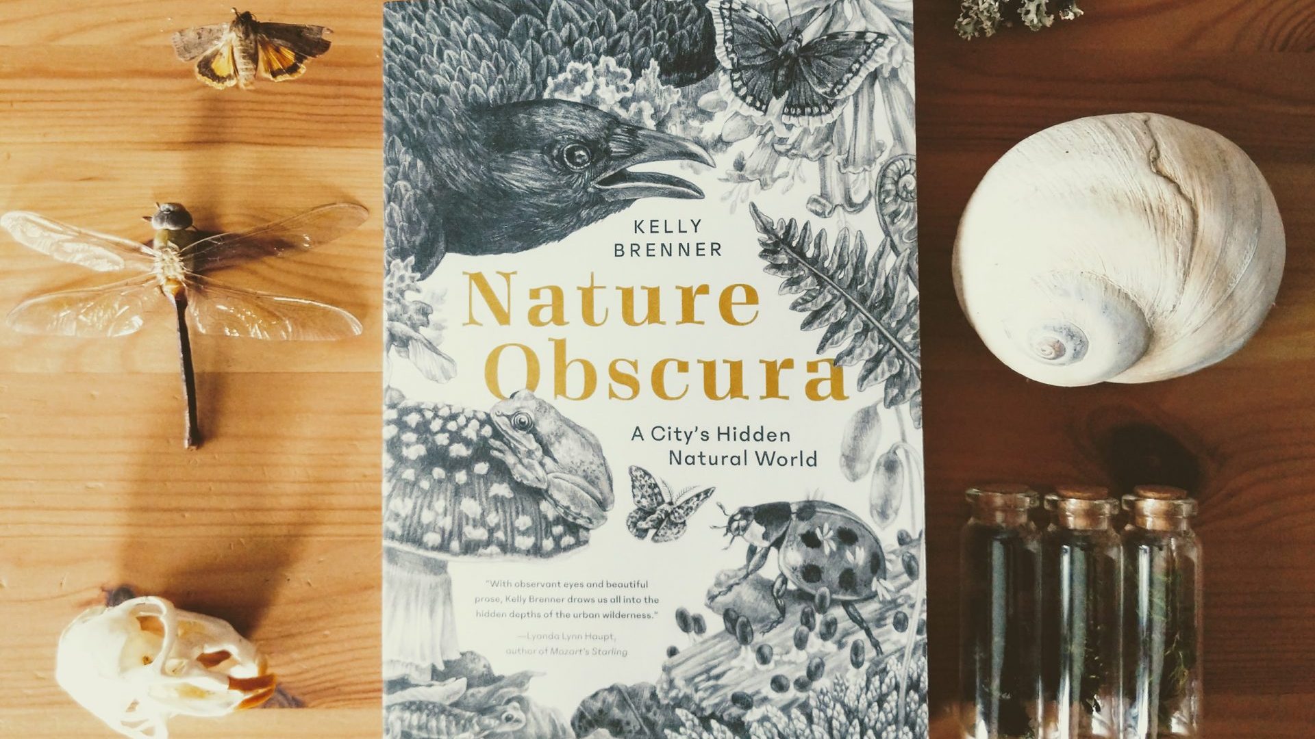 Book Review: Nature Obscura