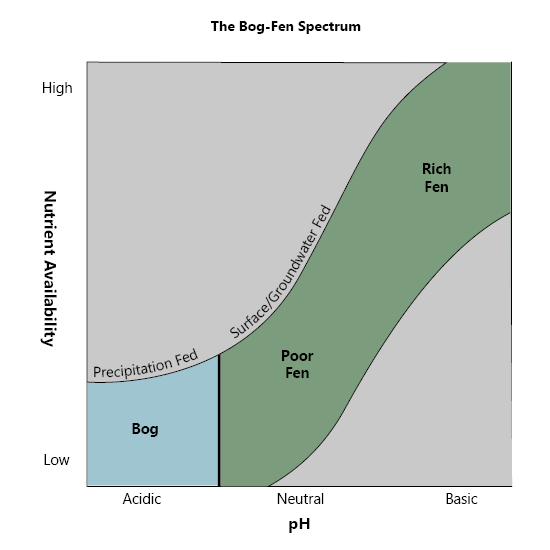 Bog-Fen Graph