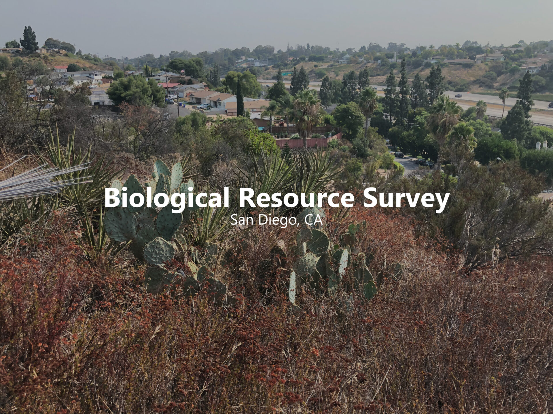 Bio Resource Survey Hover v2