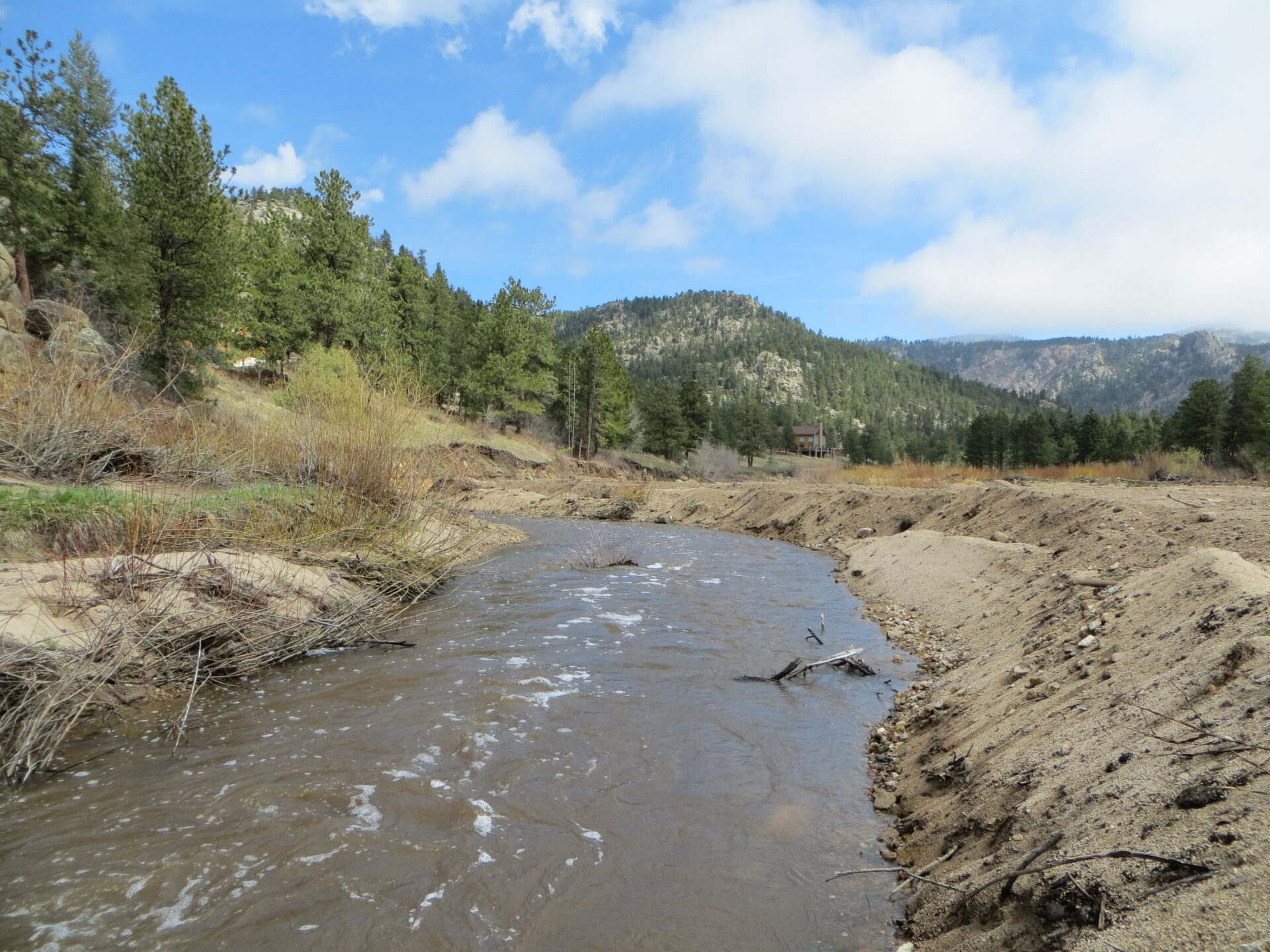 Little Thompson River Riparian Restoration Great Ecology